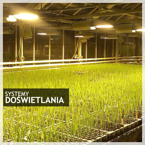 systemy doświetlania