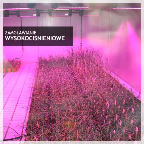 zamławianie wysokociśnieniowe